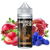 MASTER 0MG 100ML - SQUID JUICE 2