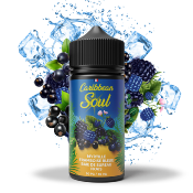 CARIBBEAN Soul Myrtille Framboise bleue Baies de sureau Frais - 100ml by Bobble 