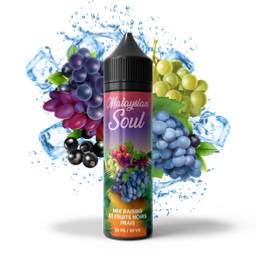 Malaysian Soul Mix raisins Fruits noirs Frais- 50ml by Bobble 