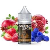 CONCENTR MASTER 30ML - SQUID JUICE 2