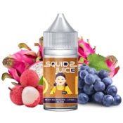 CONCENTRÉ DOLL 30ML - SQUID JUICE 2