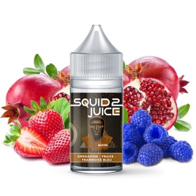 CONCENTRÉ MASTER 30ML - SQUID JUICE 2